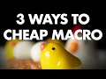 3 Cheapest Ways to do Macro Photography