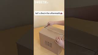Eco-Friendly Packaging Drop Test: Does It Pass? 📦💚
