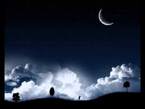 Paul van Dyk   Nothing But You 2011 LG Remix
