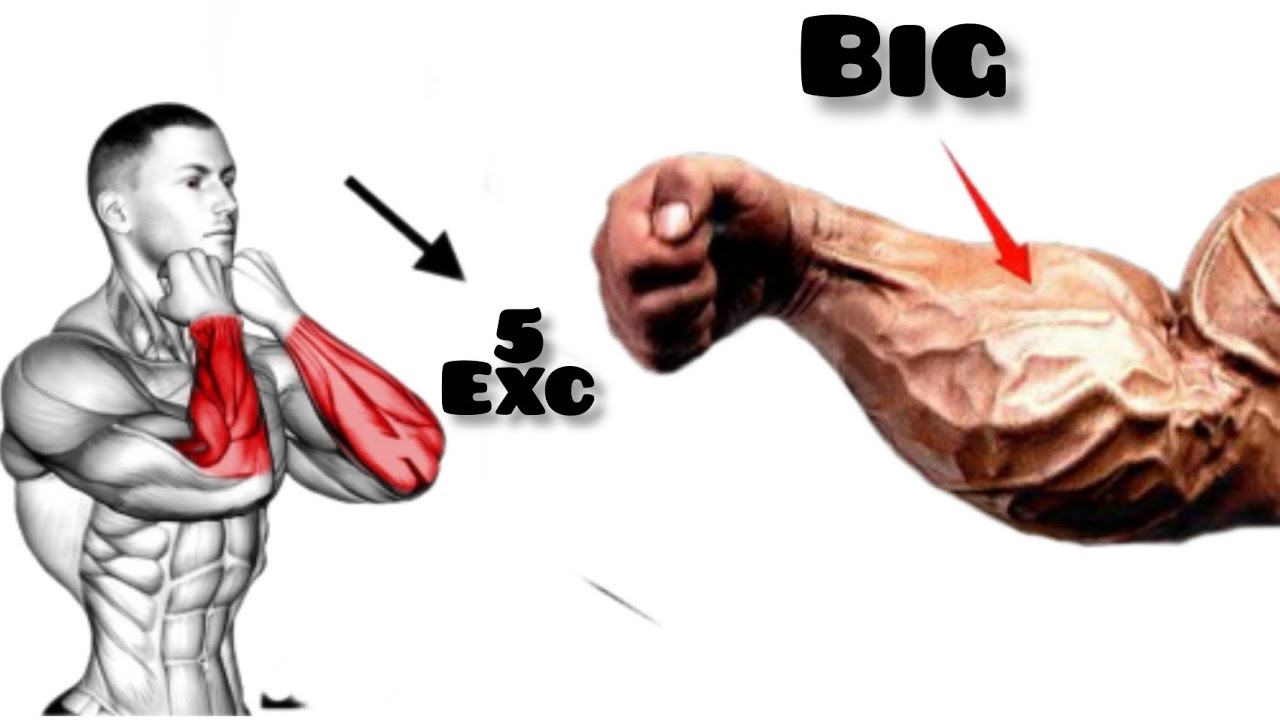 5 HUGE FOREARMS EXCERCISES AT HOME OR GYM | FOREARM WORKOUT - YouTube