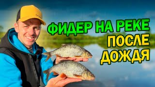 видео: Фидерная рыбалка на плотву - секреты успешной ловли👌 Тактика ловли ✅ картинка: Фидерная рыбалка на плотву - секреты успешной ловли👌 Тактика ловли ✅