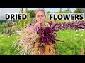 Picking dried flowers on the flower farm