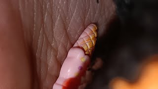 Giantess Kitten Leaves A Treat For Tiny In Socks