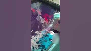 Hướng Dẫn Dùng Thuốc Tím ( KMNO4 ) Trị Bệnh Cá Koi #zenkoifarm #cákoi #koifish #koi