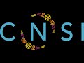 CNSI Education: Nanovation Results 2020