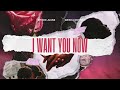 Byron Juane Daisha McBride I Want You Now Official Audio mp3