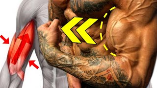 تمارين يجب عليك أن تجربها | أروع تمارين البايسبس !! كمال الاجسام  - BICEPS  EXERCISES FOR BIGGER