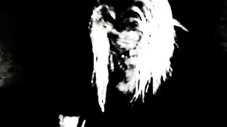 Michel Yang - Dive Official Visualizer