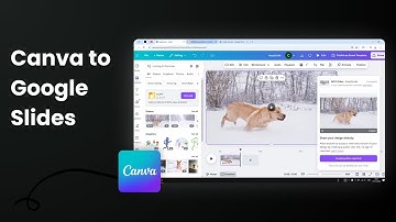 How to Insert Canva Video in Google Slides