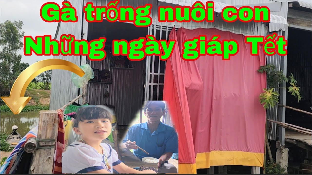 Bữa cơm những ngày giáp Tết gà trống nuôi con từ Campuchia về _ Nắm Nguyễn P 