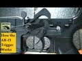 How the AR-15 Trigger Works