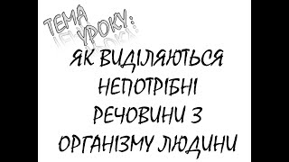 ЯК ВИДІЛЯЮТЬСЯ НЕПОТРІБНІ РЕЧОВИНИ З ОРГАНІЗМУ ЛЮДИНИ