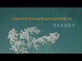 НАНАЙЯ  ЧЕННЕЛИНГ Галактическая Федерация Света