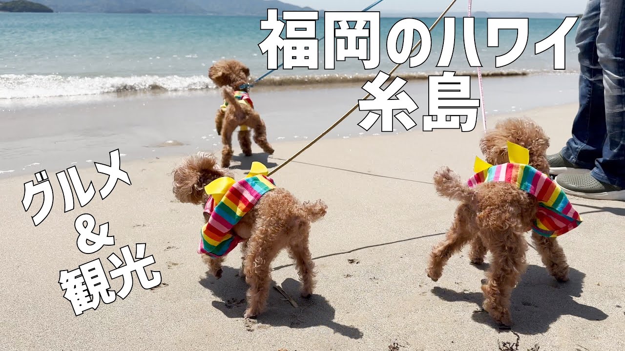 1日じゃ足りない！福岡のハワイ、糸島めぐり【グルメ・観光】