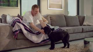One Plan Pet Insurance TVC