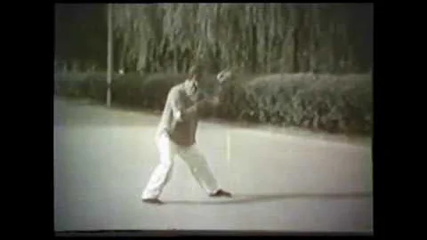 Tian Xiuchen  (1917-1984), student of Chen Fake, p...