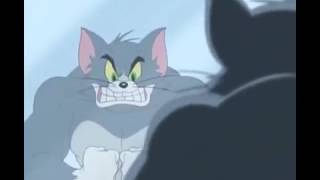 Tom and Jerry Cartoon Beefcake Tom 3