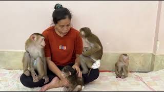 Pityyy Sister Jula Sit Cry Moaning Very Soundly Sad & Lonely Cus Mom Not Loving Her Like 3 Siblings,