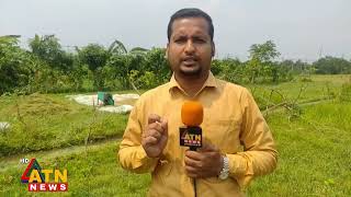 কুমিল্লায় ক্ষেতে পানি থাকায় ধান কাটার মৌসুমে বেগ পেতে হচ্ছে কৃষকদের | ATN News