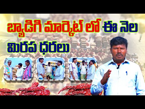 బ్యాడిగి మార్కెట్లో ఈ నెల మిరప ధరలు #crop #farming #chillifarming #info #agriculture #mirchirates - video from Sree Mohan Agri Mall
