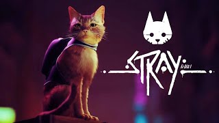 Stray  #1 / Bechora mushuk / Let`s play