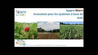 Syppre Béarn : de nouveaux systèmes à base de maïs testés dans les sols humifères - ARVALIS.fr