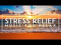 Soothing Sounds: 1 Hour Relaxing Music for Stress Relief