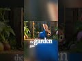 Peter Rabbit and the Forbidden Carrots
