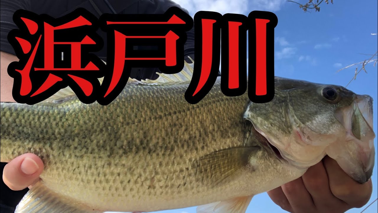 プロも訪れる大分県メジャーフィールドの日指ダムでバス釣りしてきた Youtube