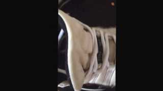 VNDSEB eBay Listing Men s Nike Air Jordan Retro 11 XI Concord Size 11