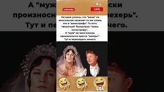 24 ноября 2025 г.#юмор #шуточное #смех #прикол