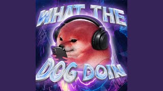 WHAT THE DOG DOIN x PIPI LABU FUNK (Instrumental)