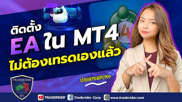 วิธีติดตั้ง EA สำหรับเทรด Forex จากเว็บ MQL5.COM | โปรแกรมเทรดหาเงินอัตโนมัติ