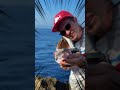 SPINNFISCHEN vom Ufer am MITTELMEER / Raubfischangeln im Salzwasser (Shore Jigging, Spinning, Eging)