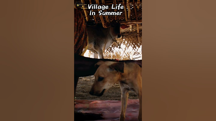 Village Life In Summer #tamil #village #villagelife #ilayaraja #melody #tamillovestatus #love