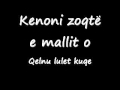 Capture de la vidéo Gjyste Vulaj - Do Te Bahem Nuse
