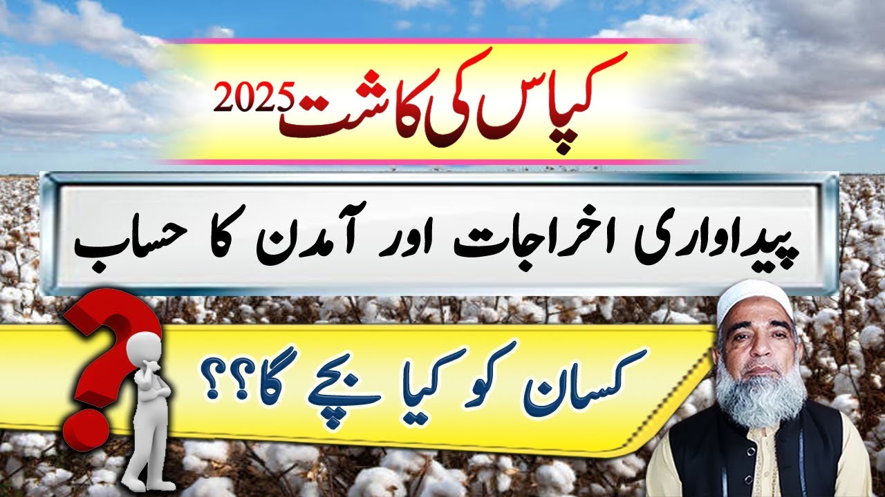 Expected Cost of Production and Income from Cotton crop 2025 | Crop Reformer