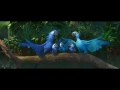 Rio Bird Dance Video in Oriya song