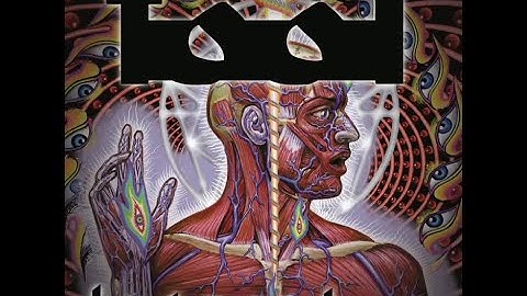 TOOL-Parabola Oscilloscope Visualizer (trimmed)