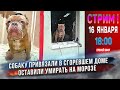 🔴 СТРИМ |  Неделя предательств. Две плохие истории про булли. Ответы на вопросы!  [16 января 18:00]