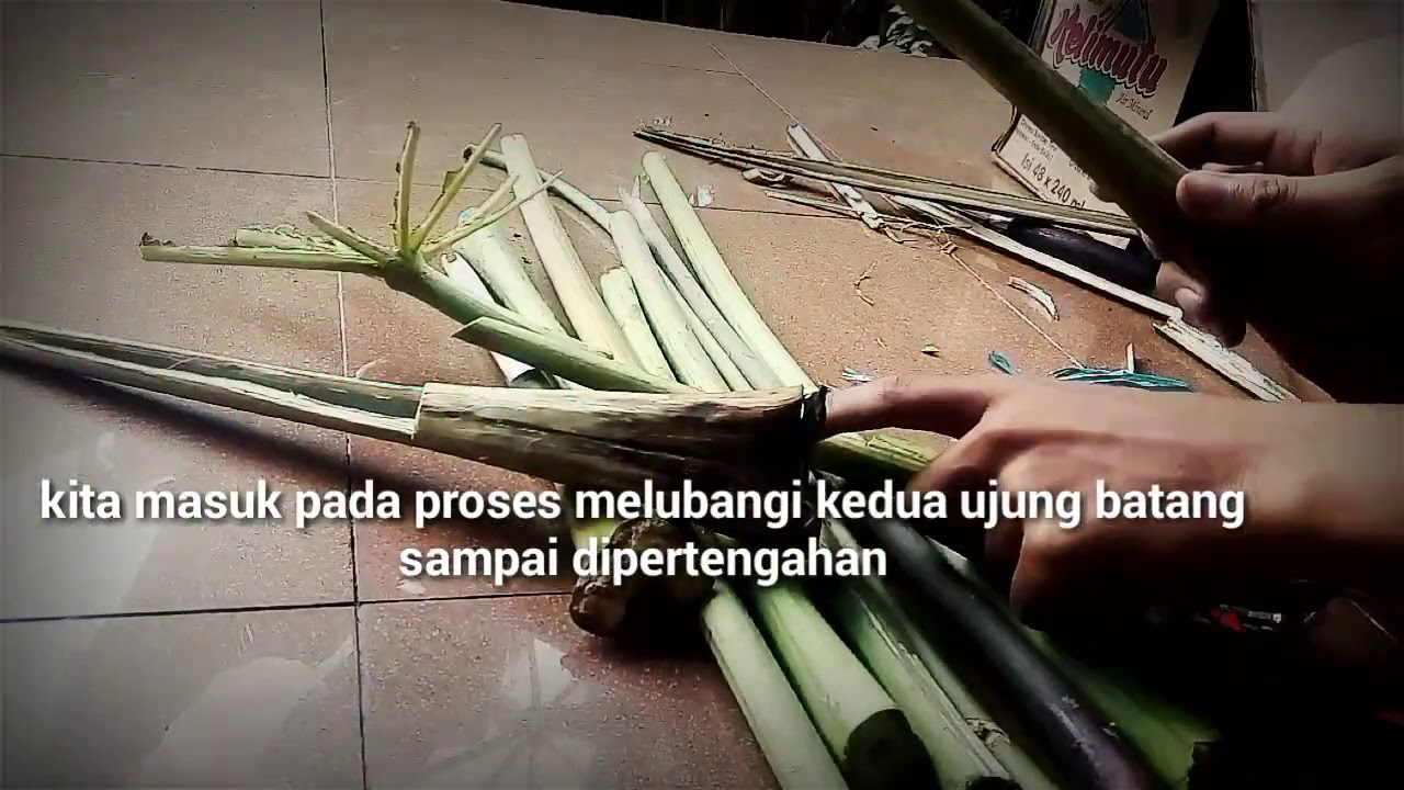  Cara  membuat  vas bunga dari  batang  pepaya YouTube