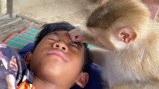 ASMR Grooming| Little Monkey Zueii Checking Her Brother Eye by ZUEII MONKEY 4,942 views 11 days ago 3 minutes, 3 seconds