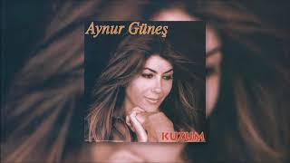 Aynur Güneş - Dağların Ardında Kuzum Resimi