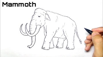 how to draw a mammoth easily