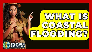 What Is Coastal Flooding? - Ecosystem Essentials