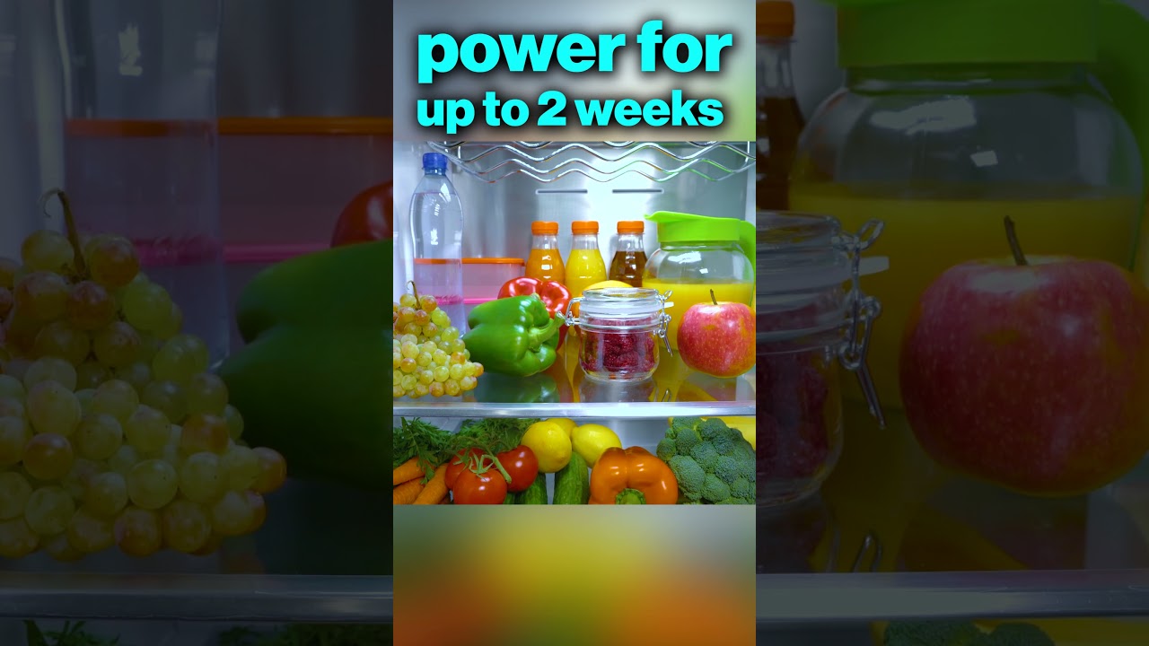 Эта зима была ЖЕСТОКОЙ! 