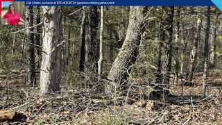 000 Dickens Lane, Mountain View, AR 72560