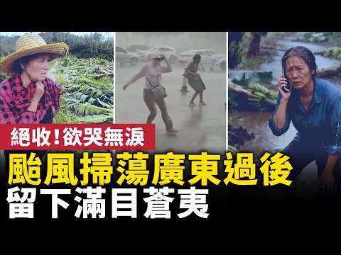 颱風掃蕩廣東過後，留下滿目蒼夷！重創農漁業，老百姓顆粒無收，欲哭無淚