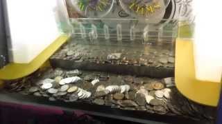 Don't Shake the Coin Pusher Machine!!