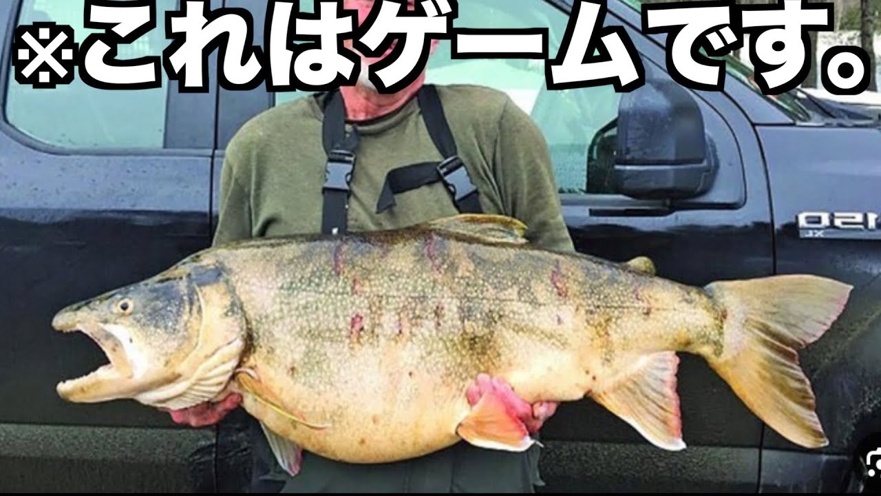 動物釣り遊び リアル釣りゲーム】山奥に潜む恐竜魚「Tレックストラウト」を捕獲
